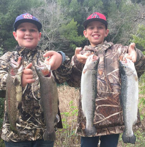 Meet your Posher, Avery goodrich